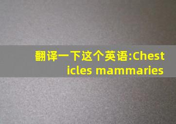 翻译一下这个英语:Chesticles mammaries